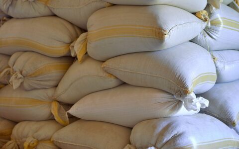 Sacks of dried maize stacked in a grain store in Kenya